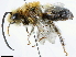 ( - CCDB-34953-G10)  @13 [ ] CreativeCommons - Attribution (2019) CBG Photography Group Centre for Biodiversity Genomics