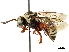  ( - CCDB-34953-H11)  @11 [ ] CreativeCommons - Attribution (2019) CBG Photography Group Centre for Biodiversity Genomics