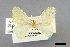  ( - NHMW2.Lep.0119)  @11 [ ] Unspecified (default): All Rights Reserved  Unspecified Unspecified