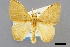  ( - NHMW2.Lep.0121)  @11 [ ] Unspecified (default): All Rights Reserved  Unspecified Unspecified