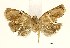  ( - USNM ENT 00800902)  @12 [ ] Unspecified (default): All Rights Reserved  Unspecified Unspecified