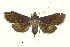  ( - USNM ENT 00934021)  @13 [ ] Unspecified (default): All Rights Reserved  Unspecified Unspecified