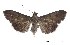  ( - USNM ENT 00933085)  @14 [ ] Unspecified (default): All Rights Reserved  Unspecified Unspecified