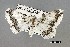  ( - USNM ENT 00722186a)  @11 [ ] Unspecified (default): All Rights Reserved  Unspecified Unspecified