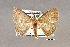  ( - USNM ENT 00729543a)  @11 [ ] Unspecified (default): All Rights Reserved  Unspecified Unspecified