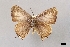  ( - USNM ENT 01067422a)  @11 [ ] Unspecified (default): All Rights Reserved  Unspecified Unspecified