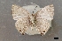  ( - USNM ENT 01067422a)  @11 [ ] Unspecified (default): All Rights Reserved  Unspecified Unspecified