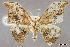  ( - USNM ENT 01069872)  @11 [ ] Unspecified (default): All Rights Reserved  Unspecified Unspecified