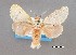  ( - USNM ENT 01069880)  @11 [ ] Unspecified (default): All Rights Reserved  Unspecified Unspecified