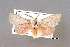  ( - USNM ENT 01201244a)  @11 [ ] Unspecified (default): All Rights Reserved  Unspecified Unspecified