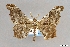  ( - USNM ENT 01848930)  @11 [ ] Unspecified (default): All Rights Reserved  Unspecified Unspecified