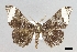  ( - USNM ENT 01848931)  @11 [ ] Unspecified (default): All Rights Reserved  Unspecified Unspecified