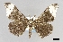  ( - USNM ENT 01848932)  @11 [ ] Unspecified (default): All Rights Reserved  Unspecified Unspecified