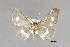  ( - USNM ENT 01848936)  @11 [ ] Unspecified (default): All Rights Reserved  Unspecified Unspecified