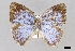  ( - USNM ENT 01848949)  @11 [ ] Unspecified (default): All Rights Reserved  Unspecified Unspecified