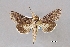  ( - USNM ENT 01848970)  @11 [ ] Unspecified (default): All Rights Reserved  Unspecified Unspecified