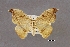  ( - USNM ENT 01848992)  @11 [ ] Unspecified (default): All Rights Reserved  Unspecified Unspecified