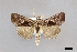  ( - USNM ENT 01918015)  @11 [ ] Unspecified (default): All Rights Reserved  Unspecified Unspecified