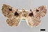  ( - USNM ENT 01918051)  @11 [ ] Unspecified (default): All Rights Reserved  Unspecified Unspecified