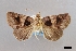  ( - USNM ENT 01918052)  @11 [ ] Unspecified (default): All Rights Reserved  Unspecified Unspecified