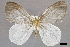  ( - USNM ENT 01918054)  @11 [ ] Unspecified (default): All Rights Reserved  Unspecified Unspecified