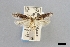  ( - USNM ENT 01918081)  @11 [ ] Unspecified (default): All Rights Reserved  Unspecified Unspecified