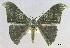  ( - USNM ENT 00722659a)  @11 [ ] Unspecified (default): All Rights Reserved  Unspecified Unspecified