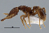  ( - ANT24)  @11 [ ] CreativeCommons  Attribution Non-Commercial Share-Alike (2010) Martin Pfeiffer University of Bayreuth, Germany
