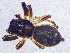  ( - SMNK-ARA-20160)  @11 [ ] CreativeCommons  Attribution (by)  Unspecified Natural History Museum Karlsruhe