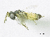  ( - SMNS_37186)  @11 [ ] CreativeCommons  Attribution Share-Alike (by-sa) (2020) State Museum of Natural History Stuttgart State Museum of Natural History Stuttgart