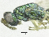  ( - SMNS_37389)  @11 [ ] CreativeCommons  Attribution Share-Alike (by-sa) (2020) State Museum of Natural History Stuttgart State Museum of Natural History Stuttgart