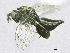  ( - SMNS_37678)  @11 [ ] CreativeCommons  Attribution Share-Alike (by-sa) (2020) State Museum of Natural History Stuttgart State Museum of Natural History Stuttgart