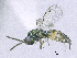  ( - SMNS_37754)  @11 [ ] CreativeCommons  Attribution Share-Alike (by-sa) (2020) State Museum of Natural History Stuttgart State Museum of Natural History Stuttgart