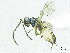  ( - SMNS_37801)  @11 [ ] CreativeCommons  Attribution Share-Alike (by-sa) (2020) State Museum of Natural History Stuttgart State Museum of Natural History Stuttgart