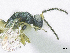  ( - SMNS_37808)  @11 [ ] CreativeCommons  Attribution Share-Alike (by-sa) (2020) State Museum of Natural History Stuttgart State Museum of Natural History Stuttgart