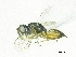  ( - SMNS_37816)  @11 [ ] CreativeCommons  Attribution Share-Alike (by-sa) (2020) State Museum of Natural History Stuttgart State Museum of Natural History Stuttgart