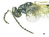  ( - SMNS_37818)  @11 [ ] CreativeCommons  Attribution Share-Alike (by-sa) (2020) State Museum of Natural History Stuttgart State Museum of Natural History Stuttgart