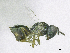  ( - SMNS_37830)  @11 [ ] CreativeCommons  Attribution Share-Alike (by-sa) (2020) State Museum of Natural History Stuttgart State Museum of Natural History Stuttgart