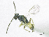  ( - SMNS_37838)  @11 [ ] CreativeCommons  Attribution Share-Alike (by-sa) (2020) State Museum of Natural History Stuttgart State Museum of Natural History Stuttgart