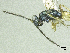  ( - SMNS_37838)  @11 [ ] CreativeCommons  Attribution Share-Alike (by-sa) (2020) State Museum of Natural History Stuttgart State Museum of Natural History Stuttgart