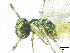  ( - SMNS_37842)  @11 [ ] CreativeCommons  Attribution Share-Alike (by-sa) (2020) State Museum of Natural History Stuttgart State Museum of Natural History Stuttgart