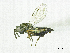  ( - SMNS_37884)  @11 [ ] CreativeCommons  Attribution Share-Alike (by-sa) (2020) State Museum of Natural History Stuttgart State Museum of Natural History Stuttgart