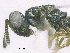  ( - SMNS_37965)  @11 [ ] CreativeCommons  Attribution Share-Alike (by-sa) (2020) State Museum of Natural History Stuttgart State Museum of Natural History Stuttgart