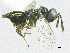  ( - SMNS_37985)  @11 [ ] CreativeCommons  Attribution Share-Alike (by-sa) (2020) State Museum of Natural History Stuttgart State Museum of Natural History Stuttgart