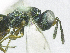  ( - SMNS_37985)  @11 [ ] CreativeCommons  Attribution Share-Alike (by-sa) (2020) State Museum of Natural History Stuttgart State Museum of Natural History Stuttgart