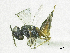  ( - SMNS_38066)  @11 [ ] CreativeCommons  Attribution Share-Alike (by-sa) (2020) State Museum of Natural History Stuttgart State Museum of Natural History Stuttgart