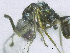  ( - SMNS_38253)  @11 [ ] CreativeCommons  Attribution Share-Alike (by-sa) (2020) State Museum of Natural History Stuttgart State Museum of Natural History Stuttgart