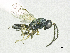  ( - SMNS_38500)  @11 [ ] CreativeCommons  Attribution Share-Alike (by-sa) (2020) State Museum of Natural History Stuttgart State Museum of Natural History Stuttgart