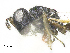  (Kaleva - SMNS_38626)  @11 [ ] CreativeCommons  Attribution Share-Alike (by-sa) (2020) State Museum of Natural History Stuttgart State Museum of Natural History Stuttgart