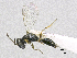  ( - SMNS_39051)  @11 [ ] CreativeCommons  Attribution Share-Alike (by-sa) (2020) State Museum of Natural History Stuttgart State Museum of Natural History Stuttgart